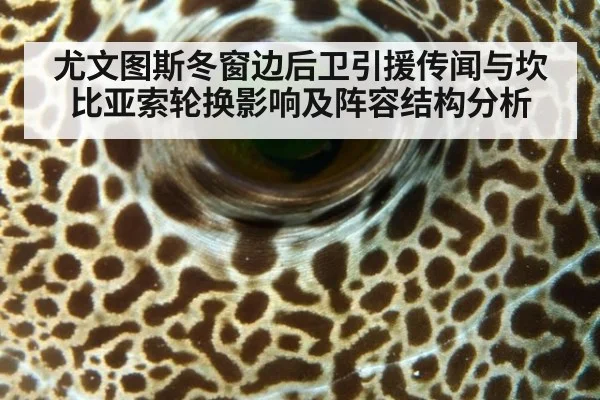 尤文图斯冬窗边后卫引援传闻与坎比亚索轮换影响及阵容结构分析
